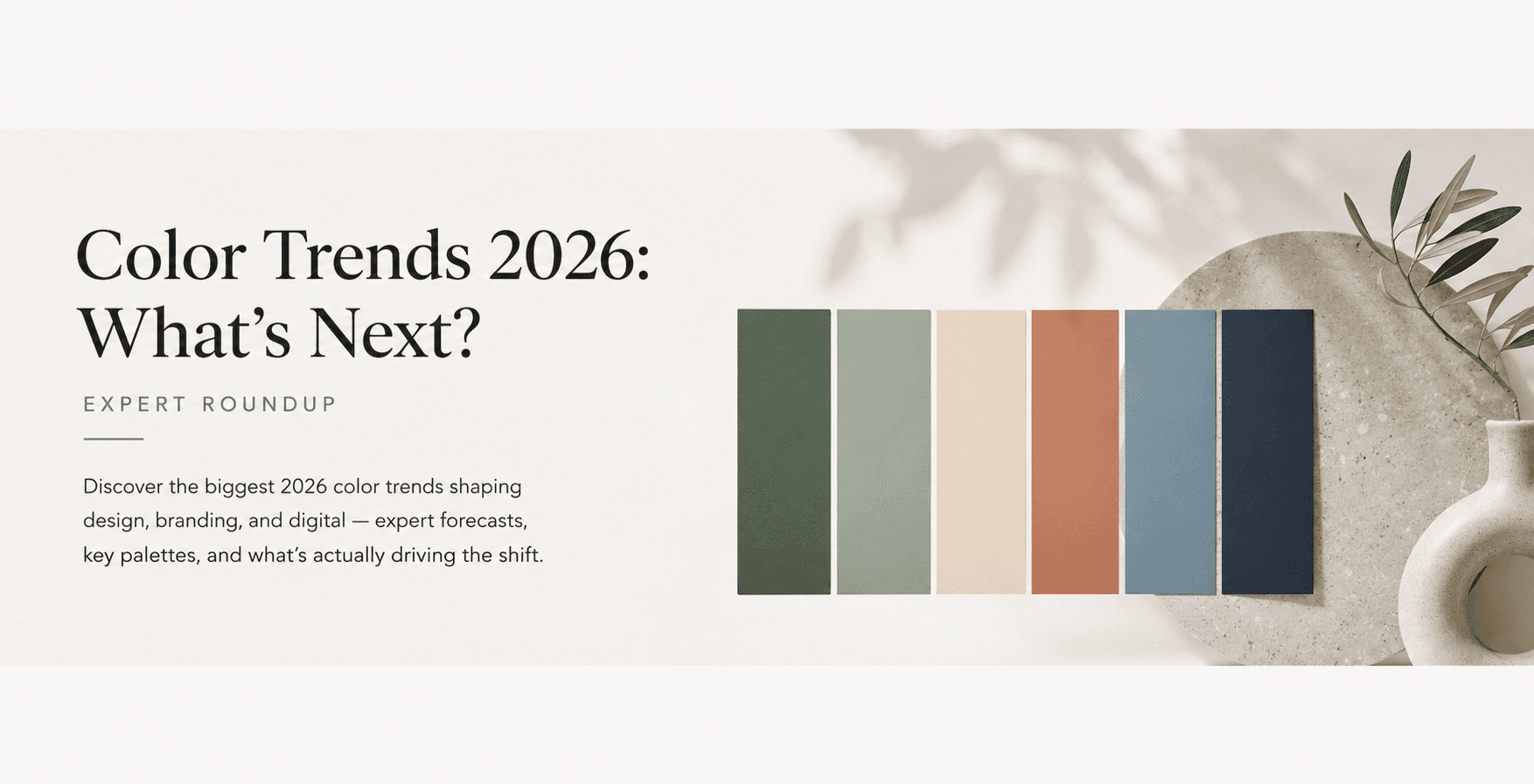 Color Trends 2026 With Coloraccy