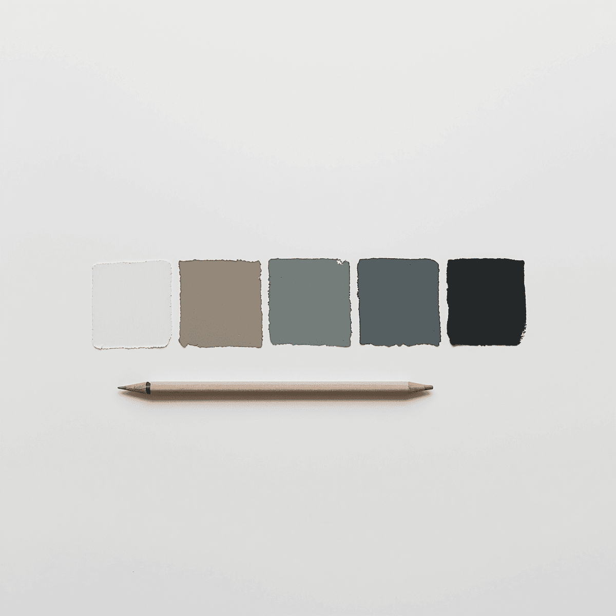 Best Minimalist Color Palettes for 2026 Design by Coloraccy